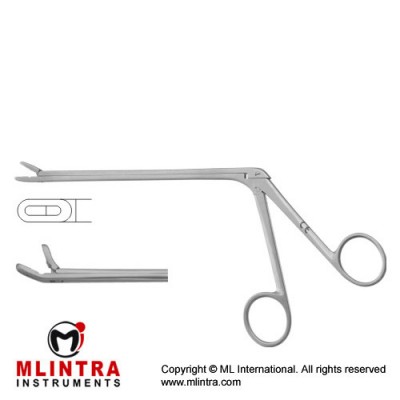 Leminectomy Rongeur Up - Fenestrated and Serrated Jaws Stainless Steel, 15.5 cm - 6" Bite Size 2 x 12 mm